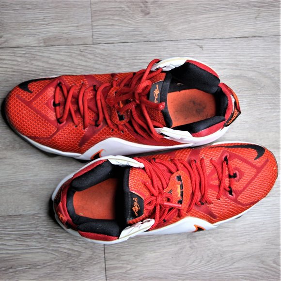 Nike LeBron 12 \'Heart of a Lion\' main image 6